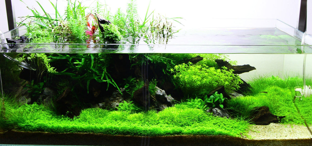 Layout 73 (122 L)