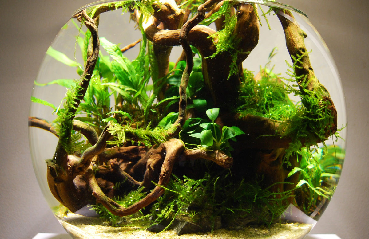 Layout 87 (12 L)