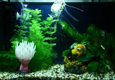 Layout 88 (20 L)