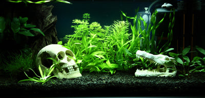 Layout 90 (54 L)