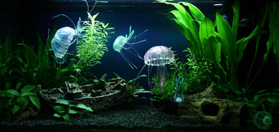 Layout 91 (96 L)