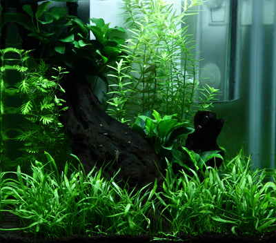 Layout 92 (15 L)