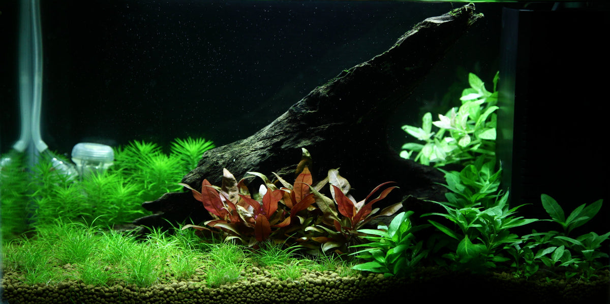 Layout 93 (25 L)