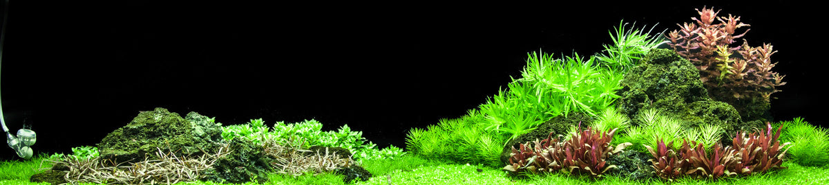 Layout 94 (270 L)