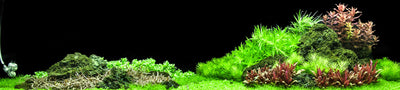 Layout 94 (270 L)