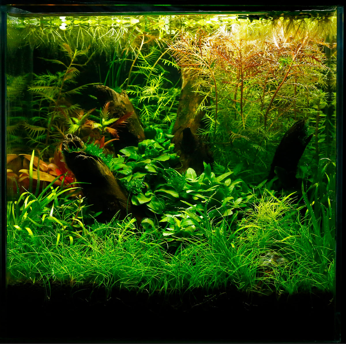 Layout 102 (25 L)