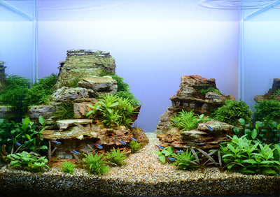 Layout 107 (57 L)