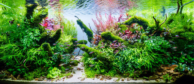 Layout 118 (210 L)