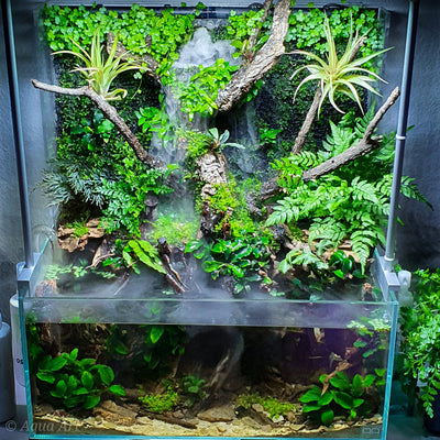 Layout 119 (24 L)