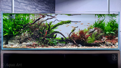 Layout 120 (70 L)