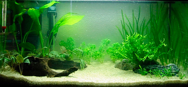 Layout 1 (54 L)