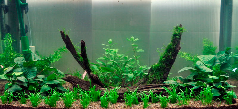 Layout 2 (128 L)