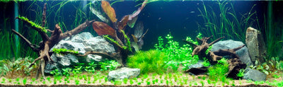 Layout 3 (297 L)