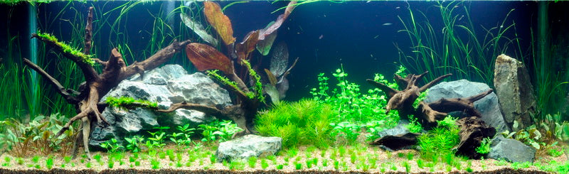 Layout 3 (297 L)