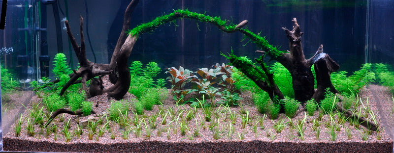Layout 8 (225 L)