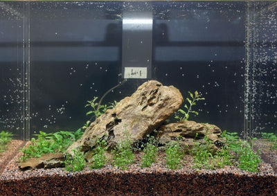 Layout 9 (36 L)
