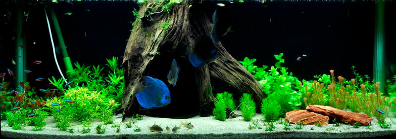 Layout 10 (325 L)