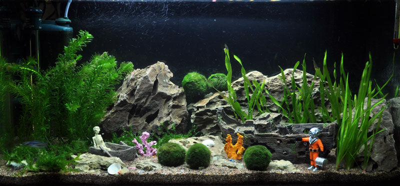 Layout 15 (112 L)