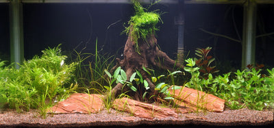 Layout 17 (128 L)