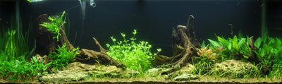 Layout 18 (297 L)