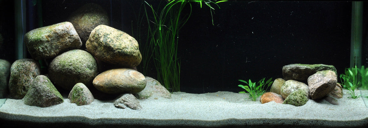 Layout 21 (325 L)