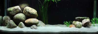 Layout 21 (325 L)
