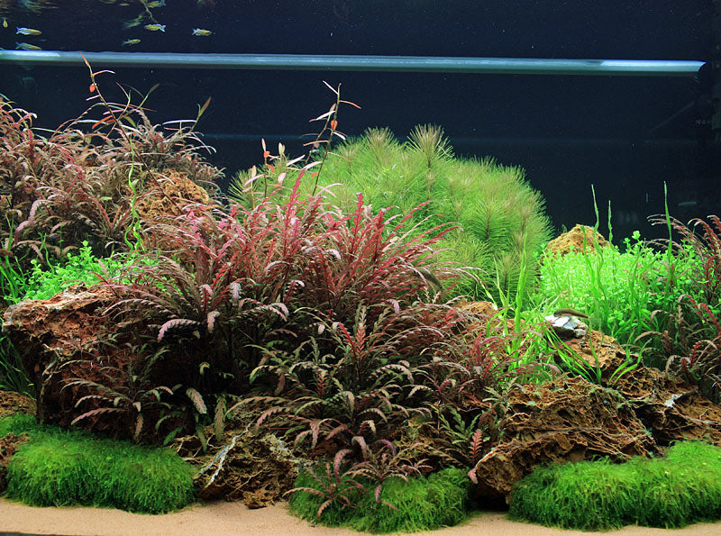 Layout 23 (360 L)
