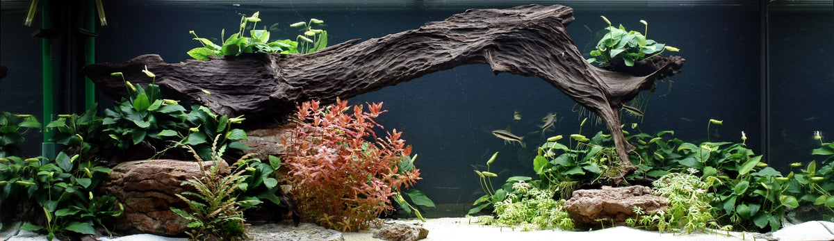 Layout 27 (350 L)