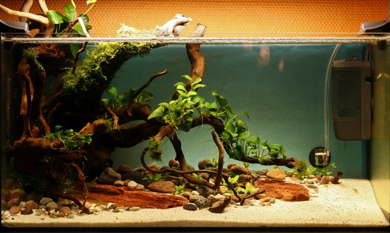 Layout 28 (54 L)