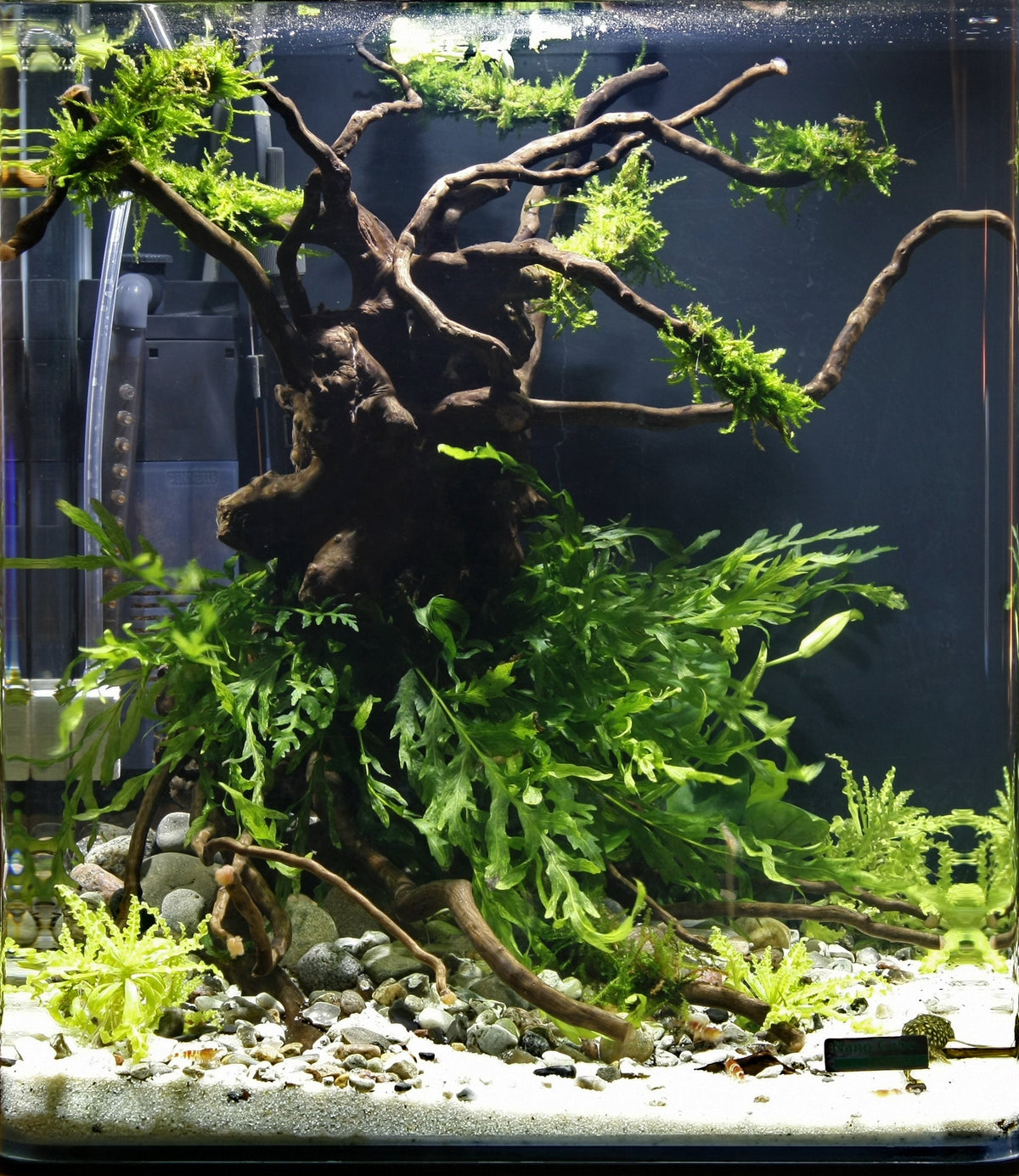 Layout 29 (30 L)