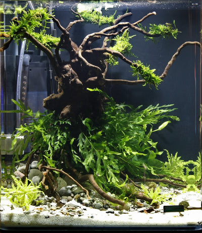 Layout 29 (30 L)