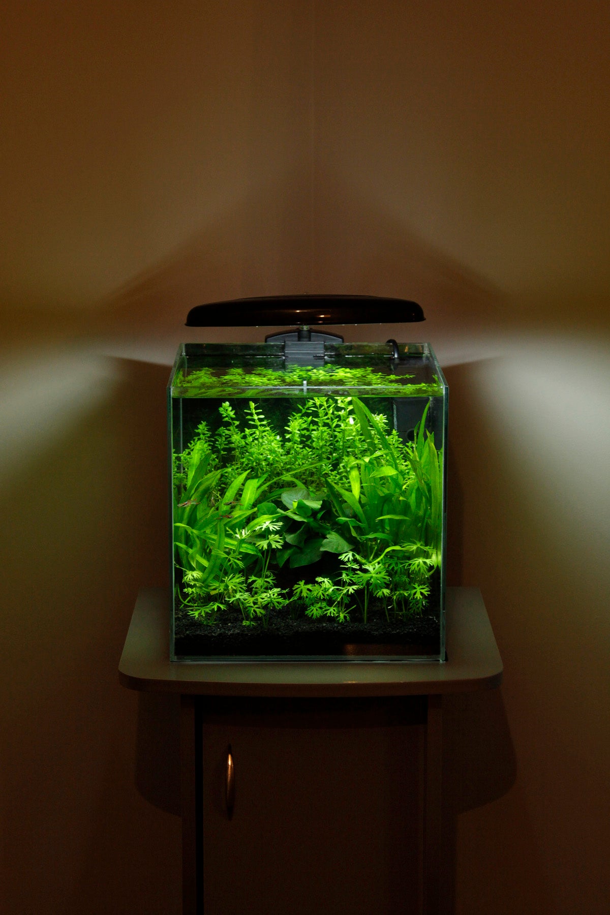 Layout 30 (27 L)