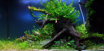 Layout 34 (140 L)