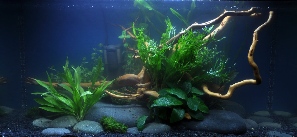 Layout 36 (54 L)