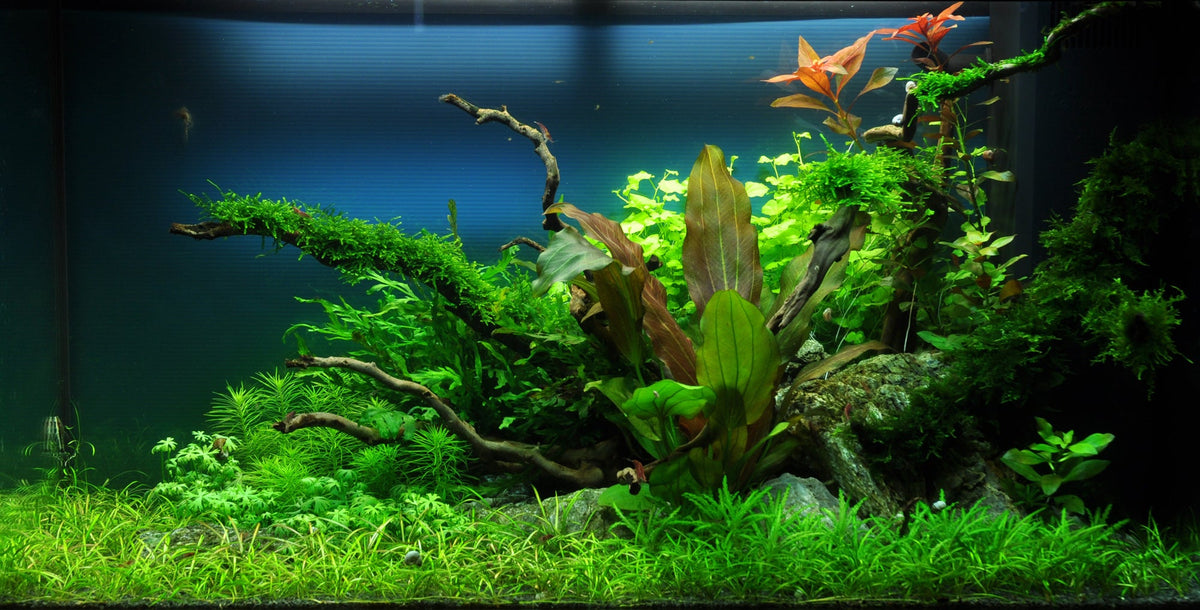 Layout 37 (140 L)