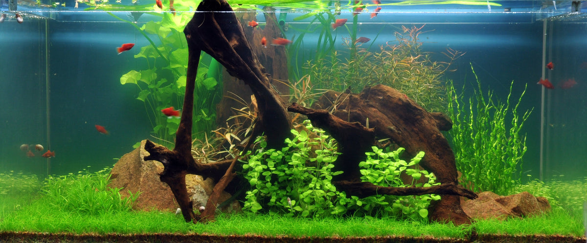 Layout 38 (225 L)