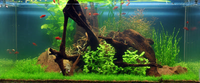 Layout 38 (225 L)