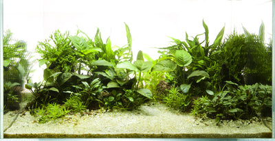 Layout 46 (200 L)