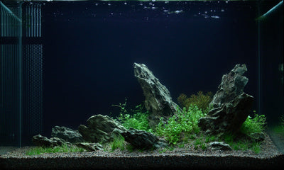 Layout 49 (100 L)