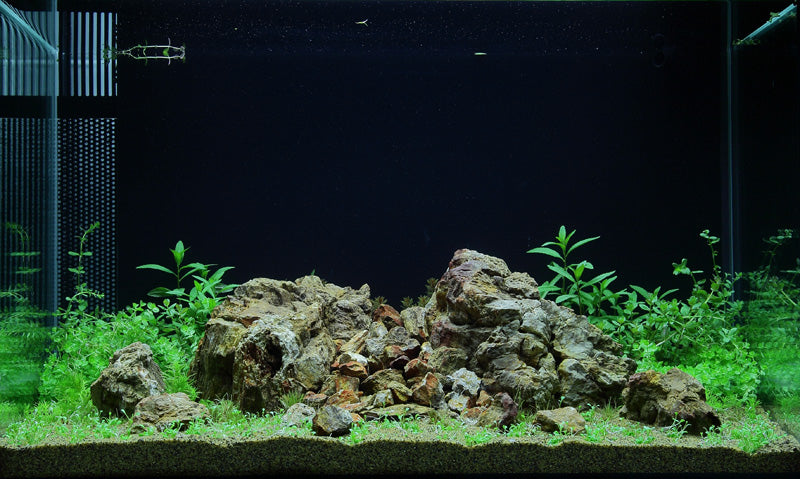 Layout 51 (100 L)