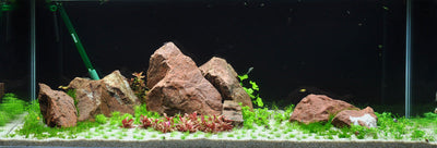 Layout 54 (270 L)