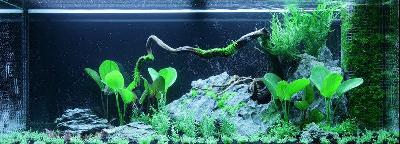 Layout 62 (240 L)