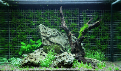 Layout 64 (100 L)