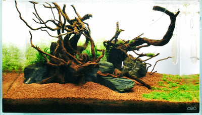 Layout 71 (60 L)