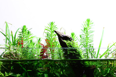 Layout 73 (122 L)