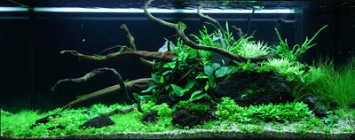 Layout 78 (180 L)