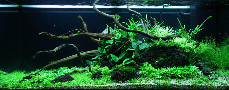 Layout 78 (180 L)