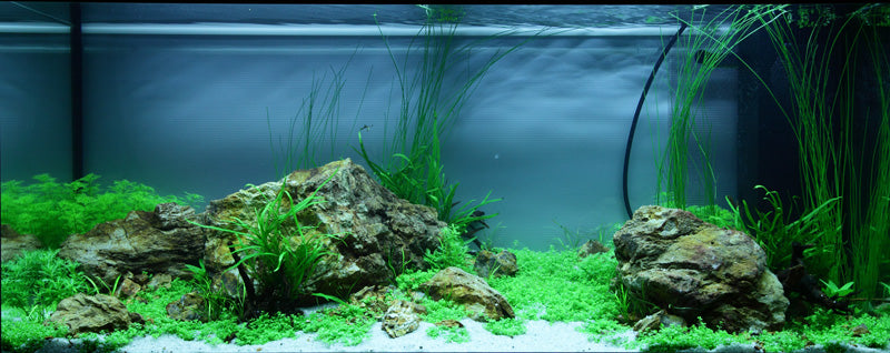 Layout 79 (180 L)