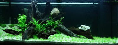 Layout 81 (180 L)