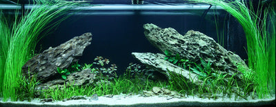 Layout 82 (180 L)